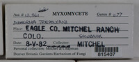 Image Associated With the Occurence